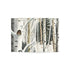 Winter Aspen Trunks - Fine Art Greeting Cards
